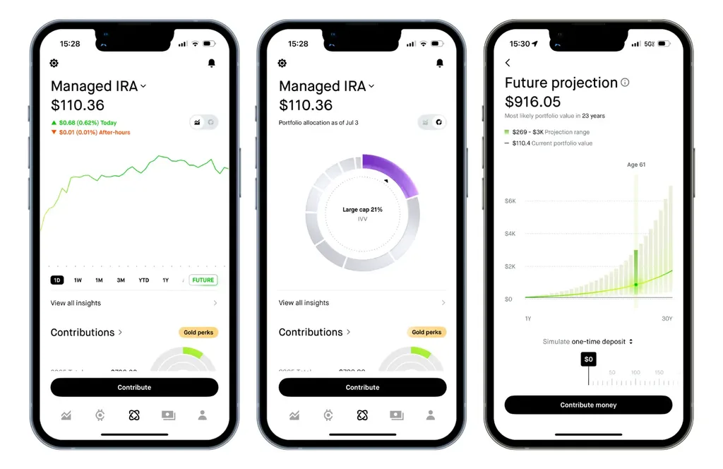 Robinhood app portfolio balance and performance chart
